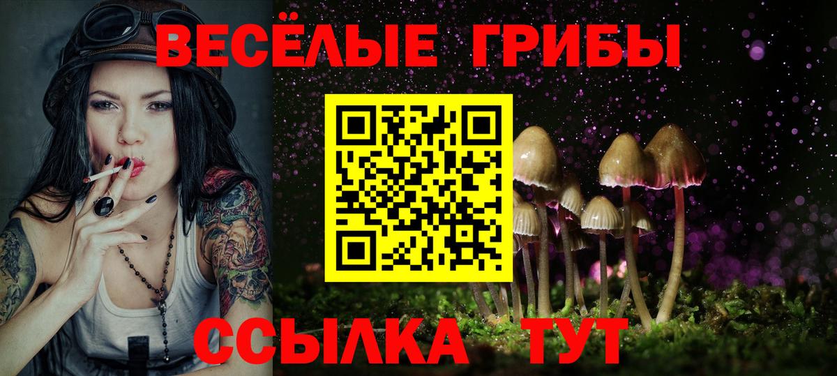 Галлюциногенные грибы Psilocybine cubensis Можга