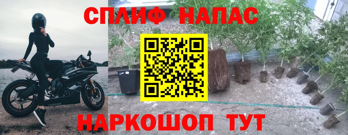 Канабис Bruce Banner Можга